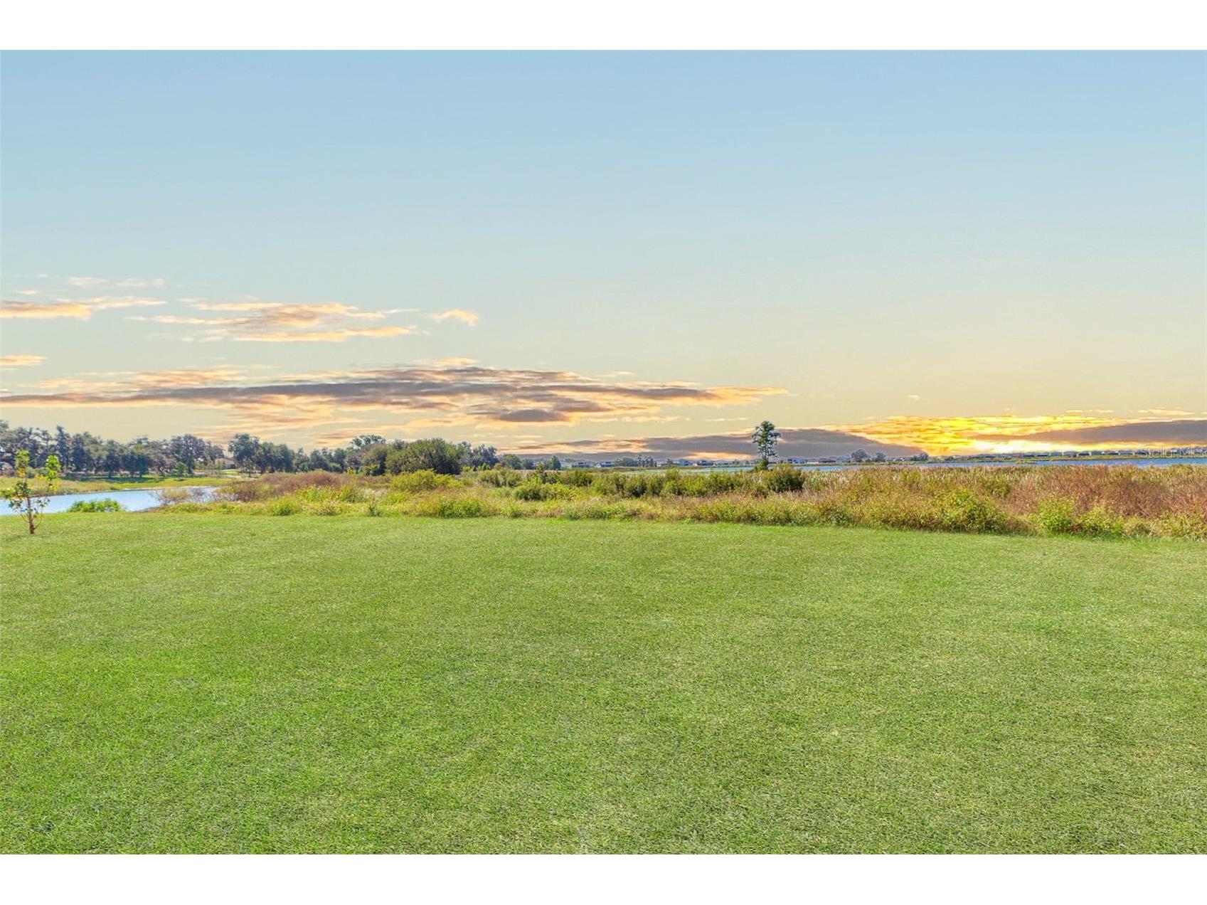 9503 Ibis Grove Boulevard Wesley Chapel FL 33545 - King Lake TB8441754 image29