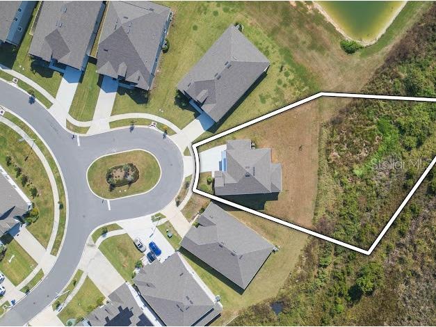 9503 Ibis Grove Boulevard Wesley Chapel FL 33545 - King Lake TB8441754 image3