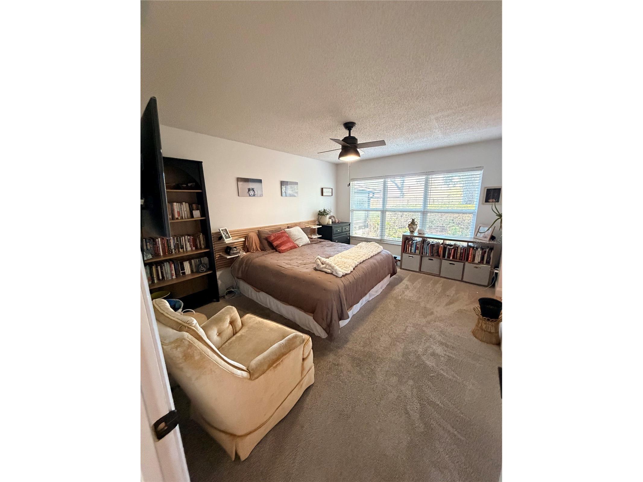 9504 Cannon Drive Orlando FL 32817 O6400350 image14