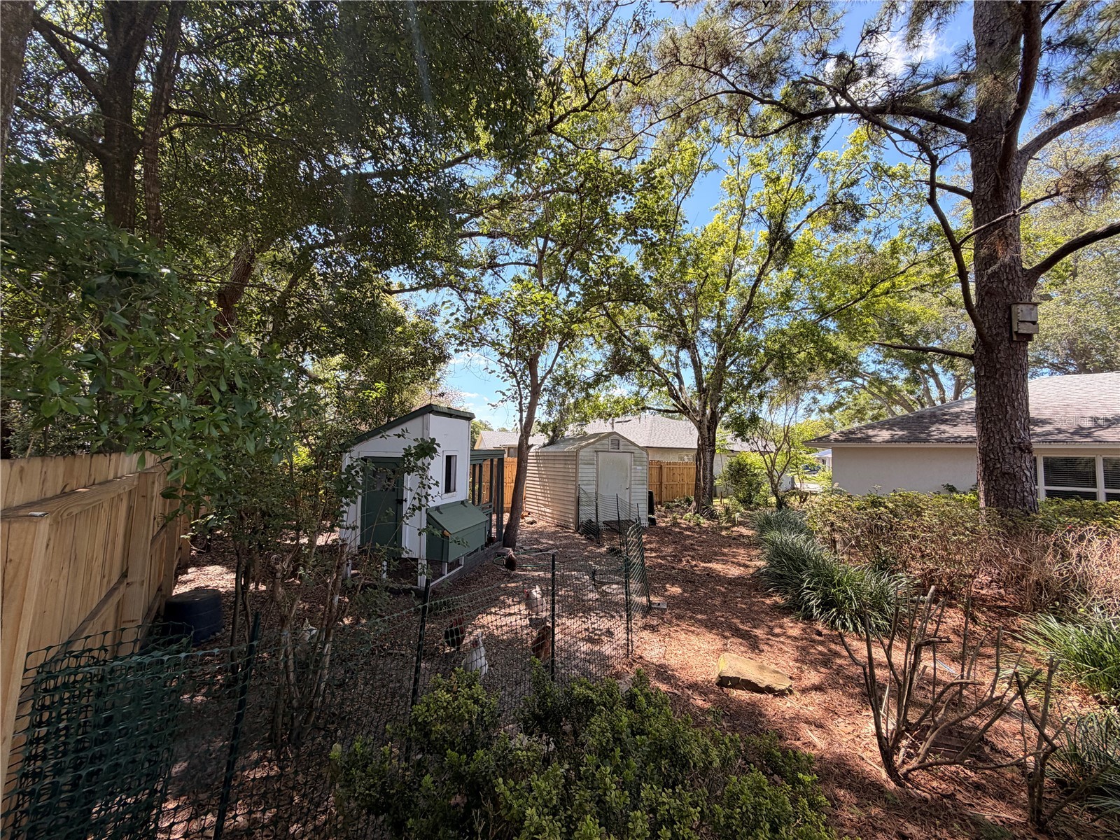 9504 Cannon Drive Orlando FL 32817 O6400350 image27