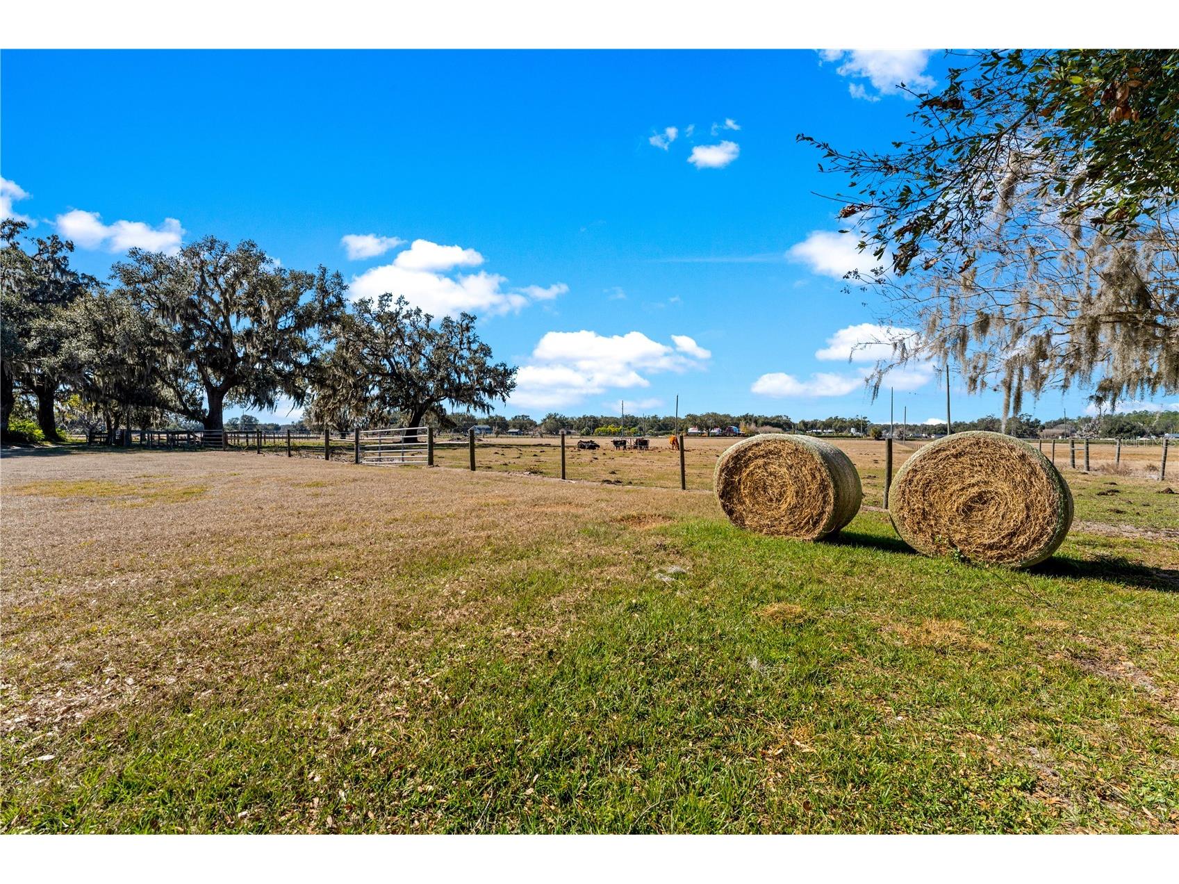 9504 Fort King Road Dade City FL 33525 - SAND POND W7882373 image13