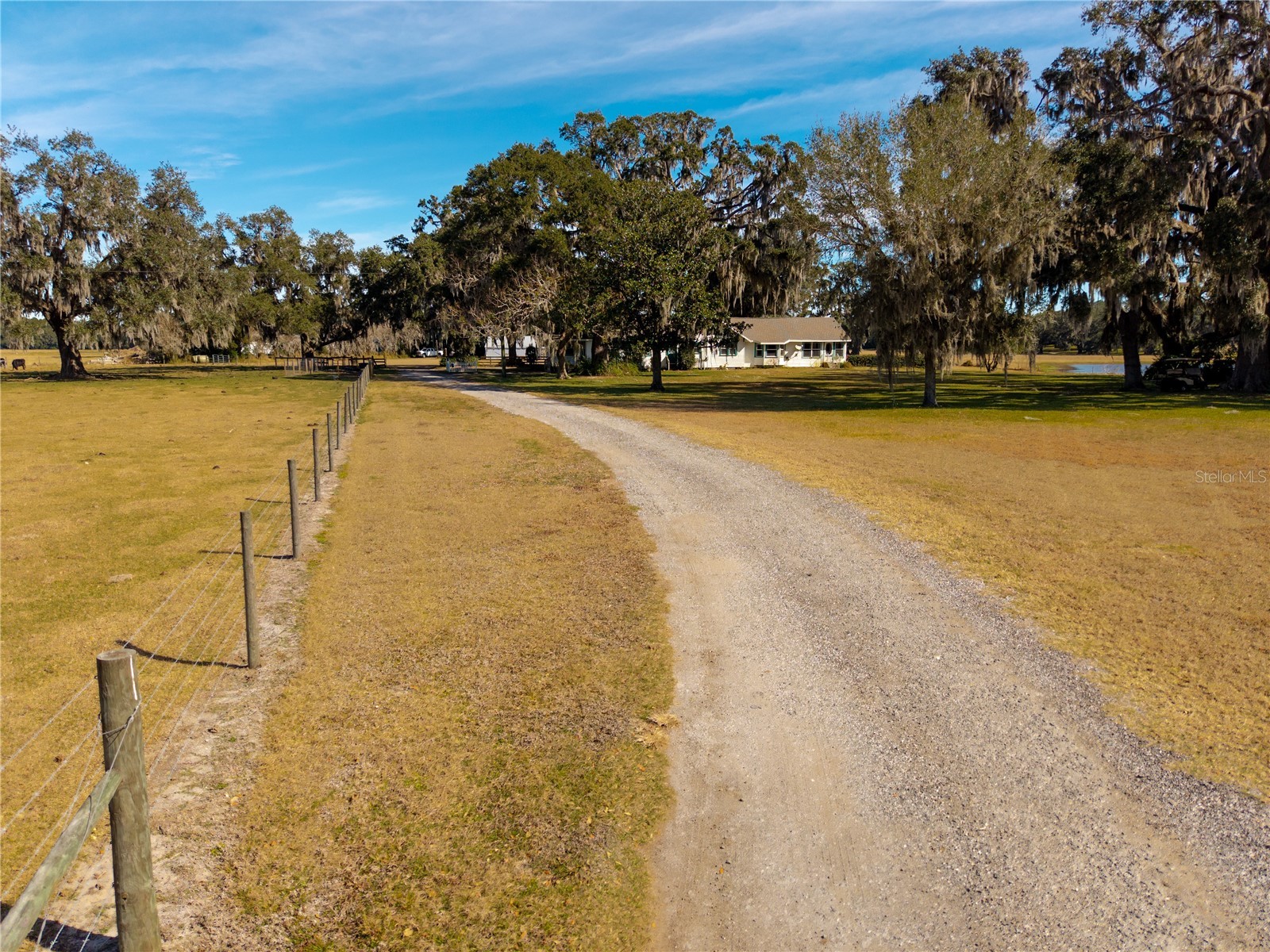 9504 Fort King Road Dade City FL 33525 - SAND POND W7882373 image8