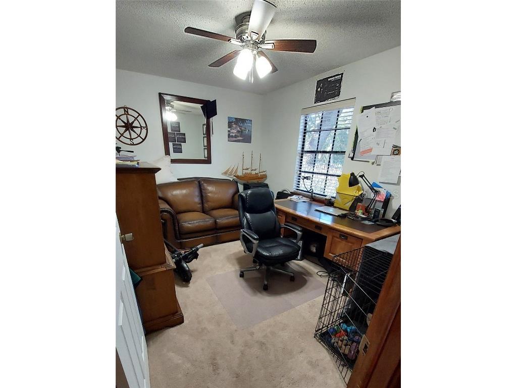 9504 Marley Avenue New Port Richey FL 34654 TB8321575 image19