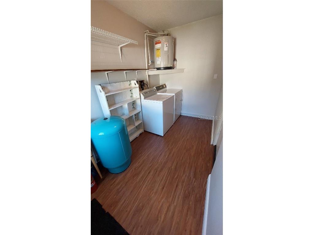 9504 Marley Avenue New Port Richey FL 34654 TB8321575 image22