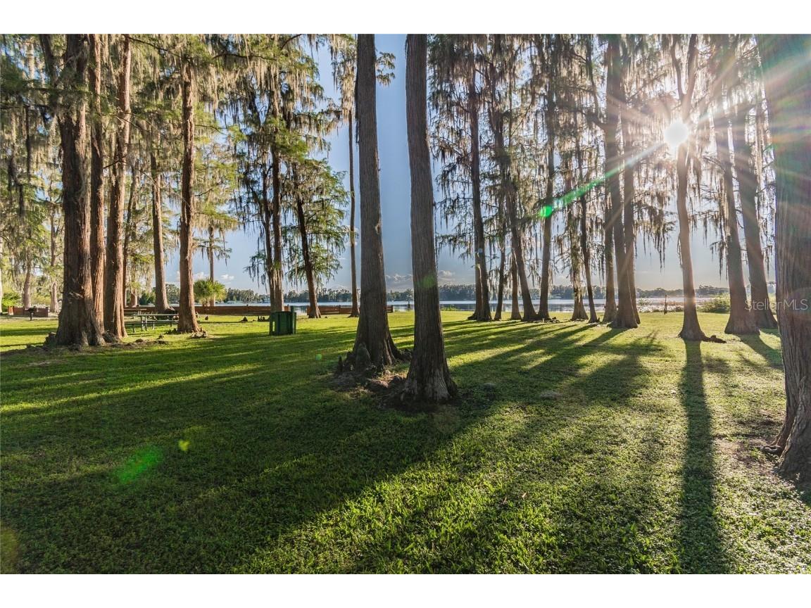 9504 Marley Avenue New Port Richey FL 34654 TB8321575 image31