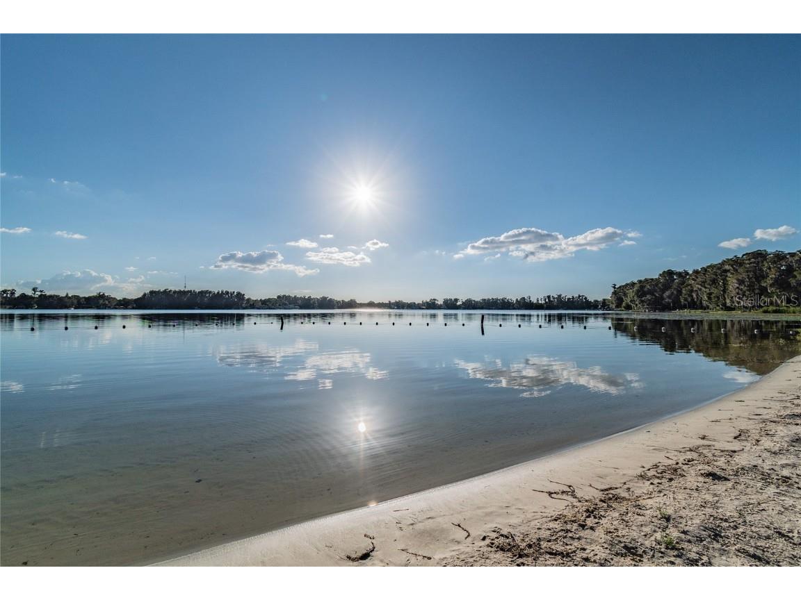 9504 Marley Avenue New Port Richey FL 34654 TB8321575 image35