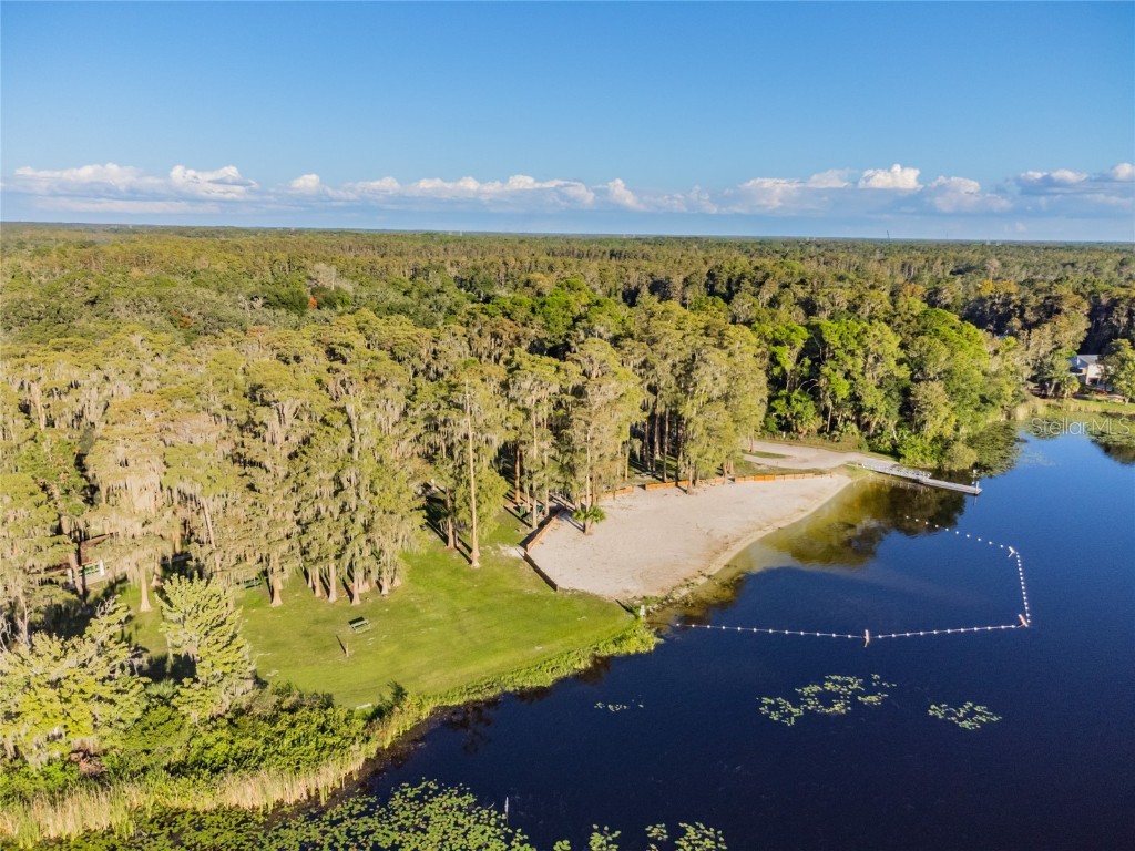 9504 Marley Avenue New Port Richey FL 34654 TB8321575 image37