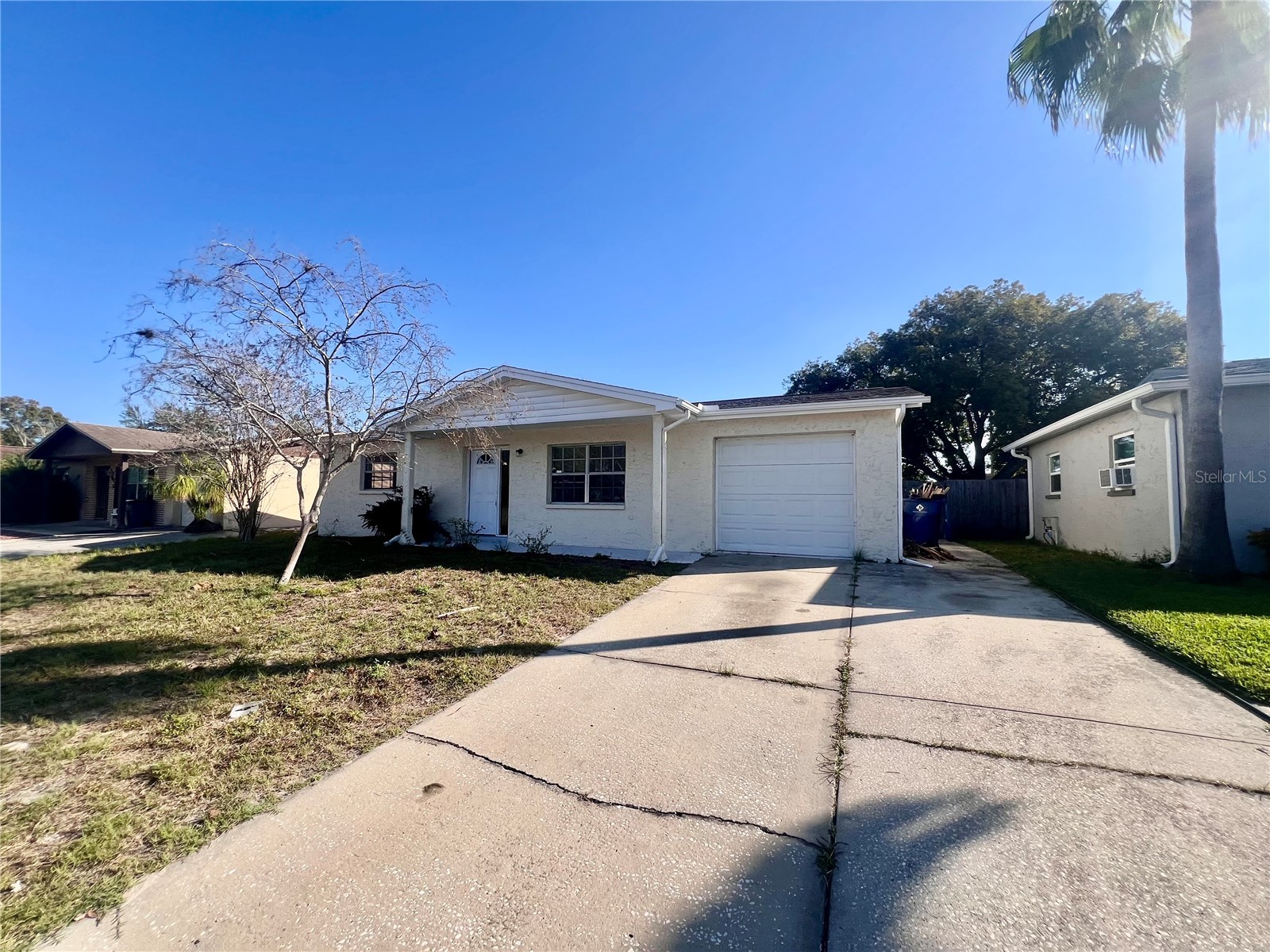 9504 Richwood Lane Port Richey FL 34668 TB8459010 image3