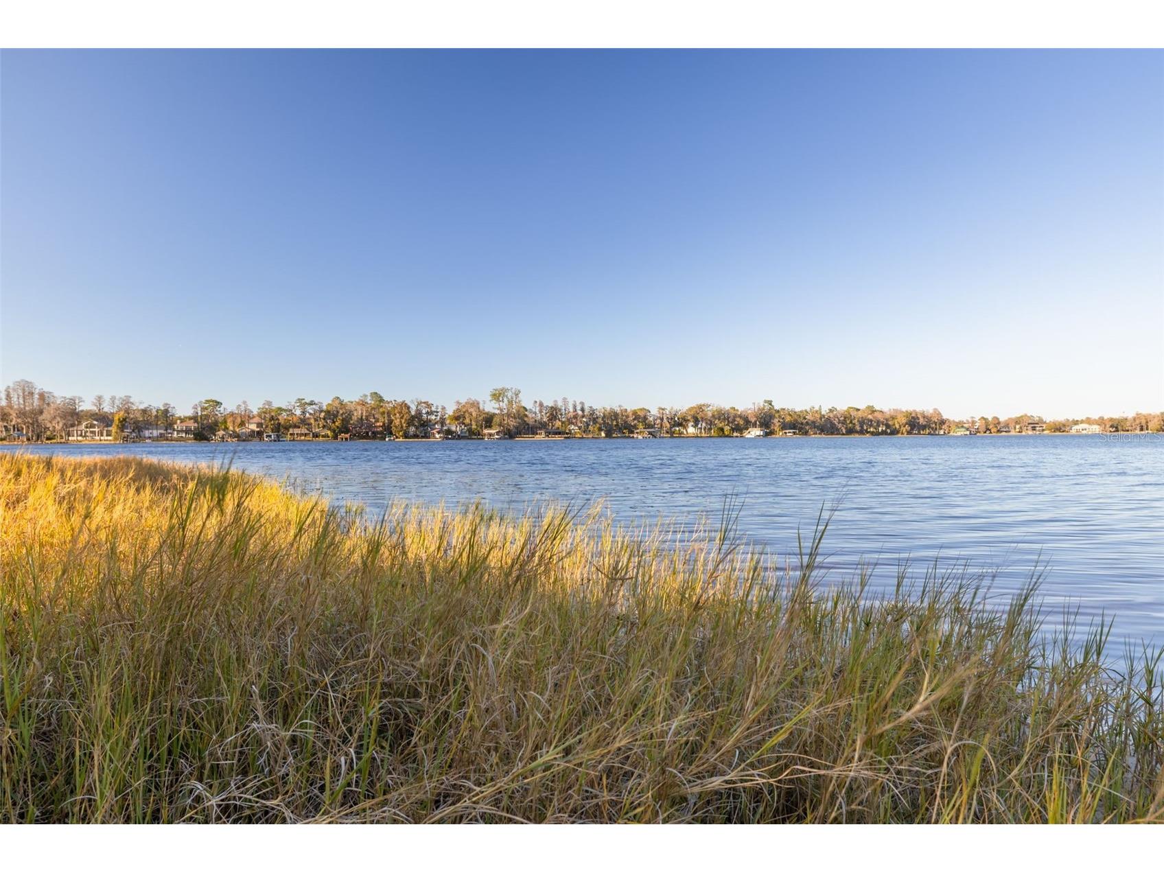 9505 Aqua Lane Odessa FL 33556 - LAKE KEYSTONE TB8474479 image41