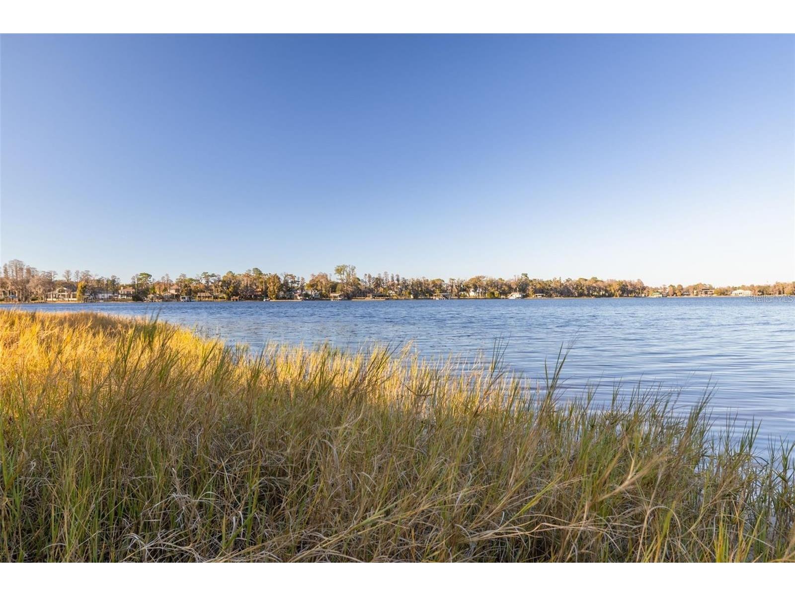 9505 Aqua Lane Odessa FL 33556 - LAKE KEYSTONE TB8492744 image37