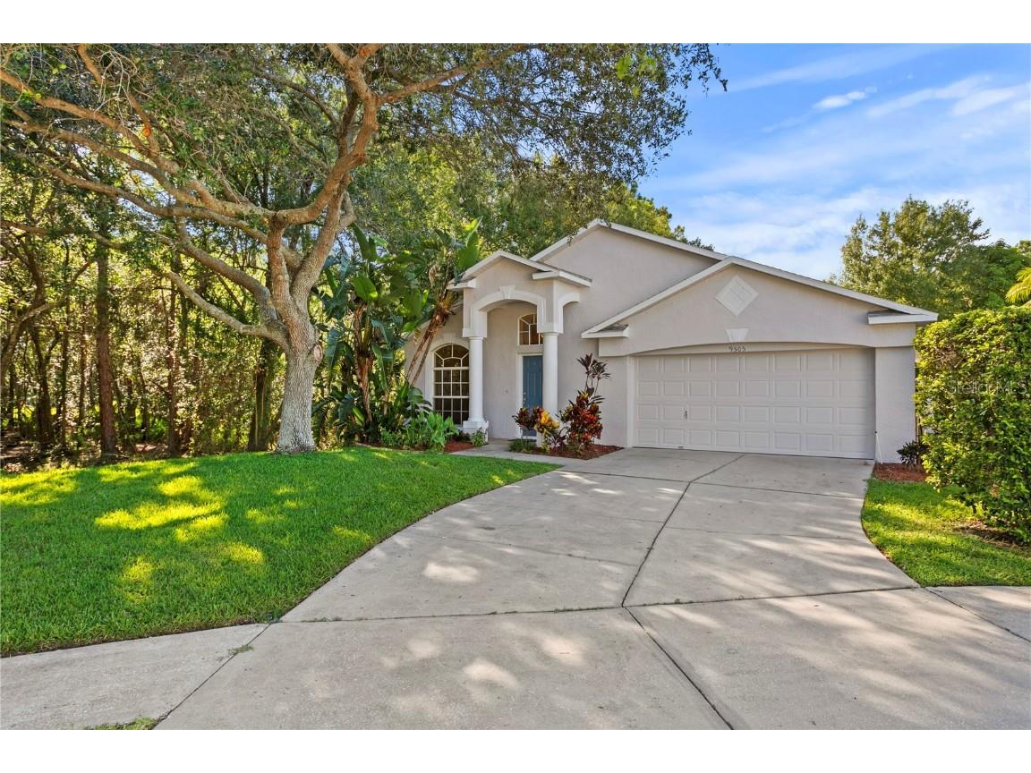 9505 Hamlet Lane Tampa FL 33635 U8209963 image1