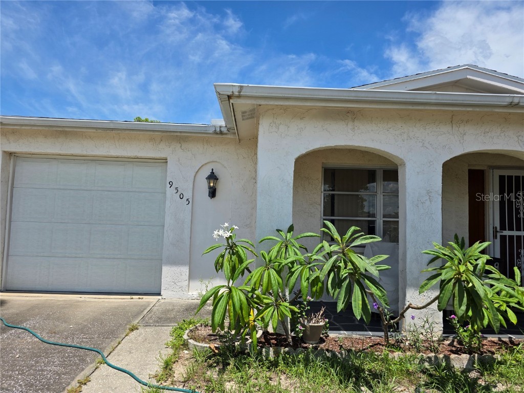 9505 Marlinton Lane Port Richey FL 34668 TB8401401 image1