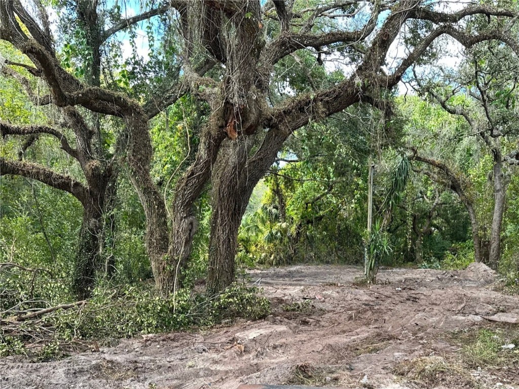 9505 Merton Street New Port Richey FL 34654 FC307440 image1