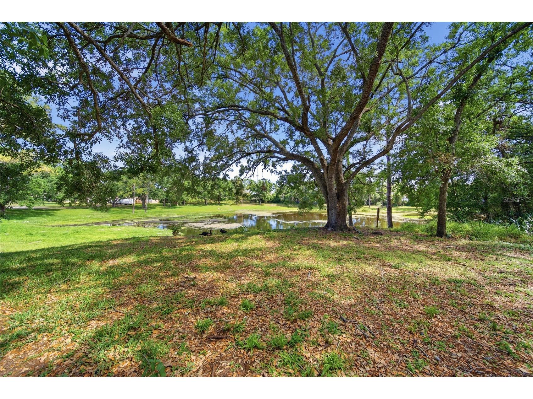 9505 Takomah Trail Tampa FL 33617 TB8498516 image18