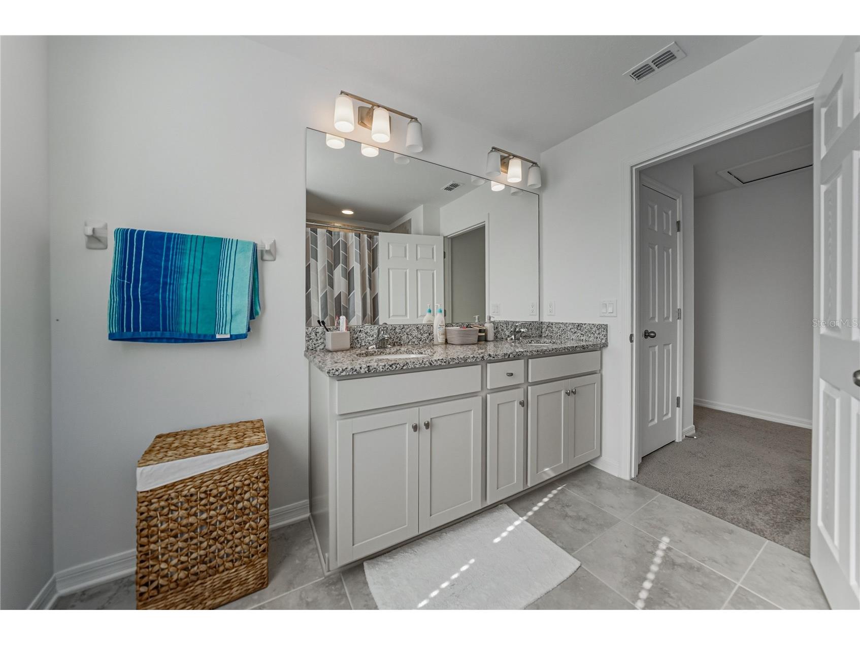 9506 Crescent Ray Drive Wesley Chapel FL 33545 TB8454584 image27