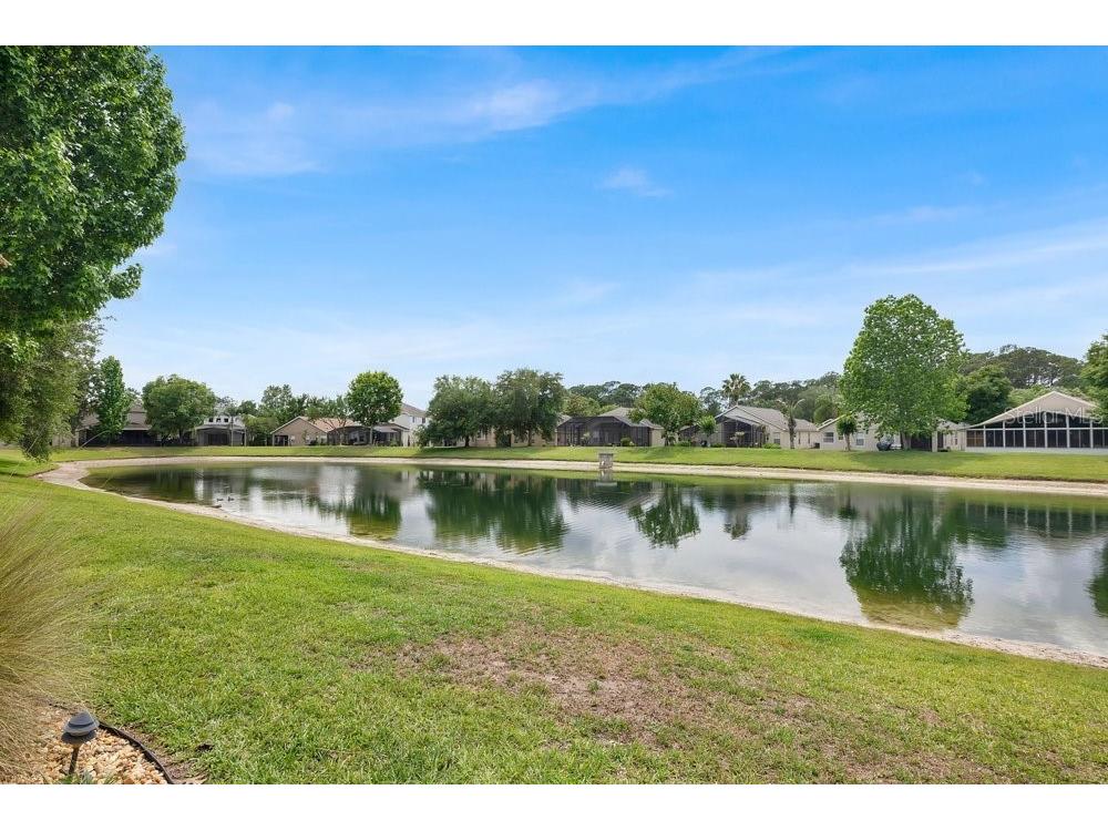 9506 Pecky Cypress Way Orlando FL 32836 - Retention pond O6404360 image32