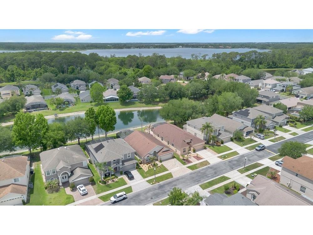 9506 Pecky Cypress Way Orlando FL 32836 - Retention pond O6404360 image36