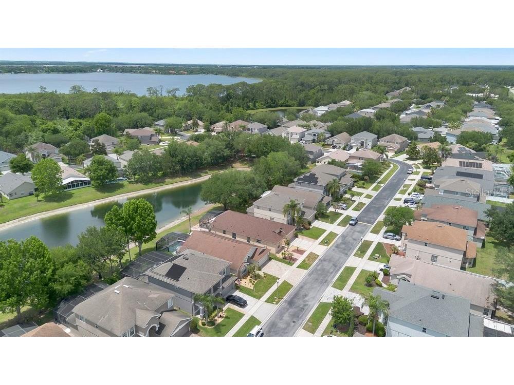 9506 Pecky Cypress Way Orlando FL 32836 - Retention pond O6404360 image37