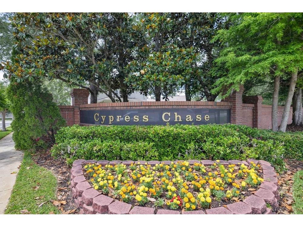 9506 Pecky Cypress Way Orlando FL 32836 - Retention pond O6404360 image41