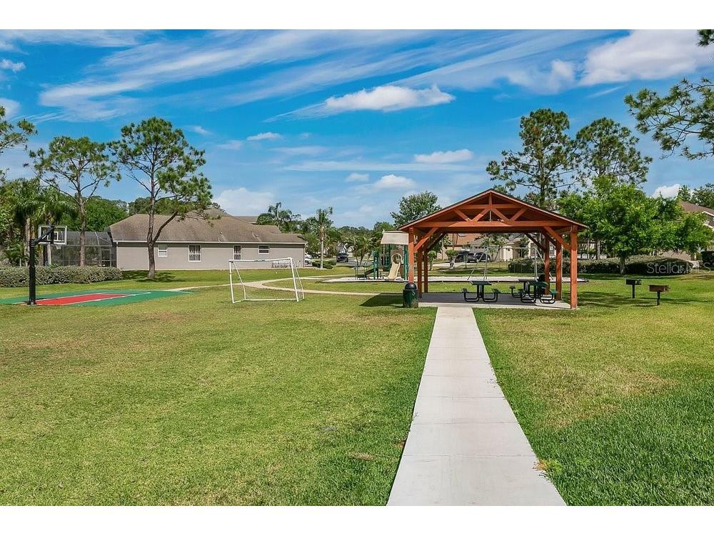 9506 Pecky Cypress Way Orlando FL 32836 - Retention pond O6404360 image47