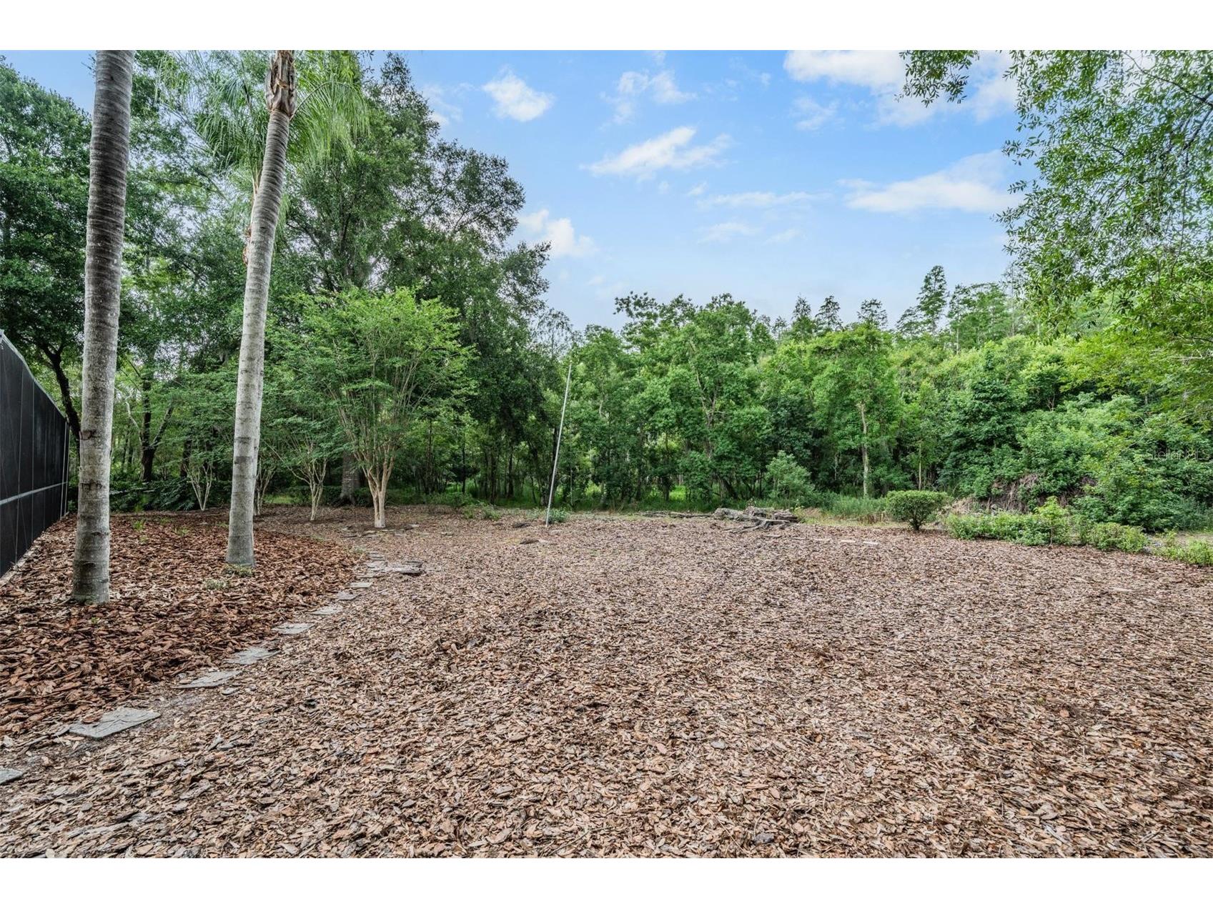 9507 Larkbunting Drive Tampa FL 33647 TB8508383 image33