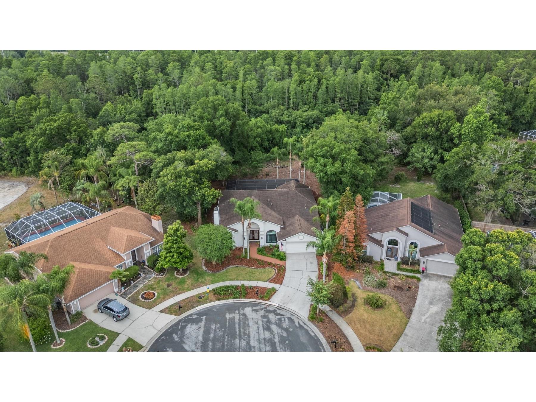 9507 Larkbunting Drive Tampa FL 33647 TB8508383 image34