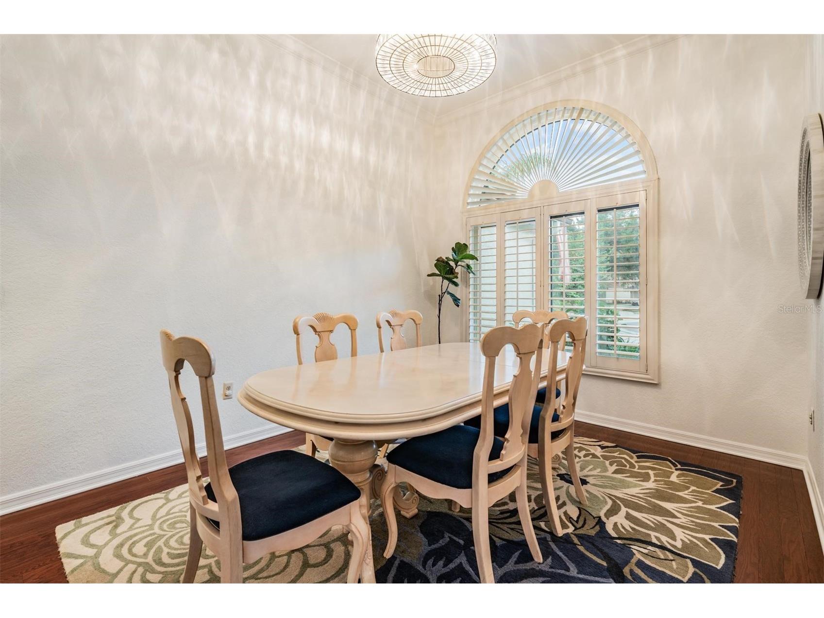 9507 Larkbunting Drive Tampa FL 33647 TB8508383 image7