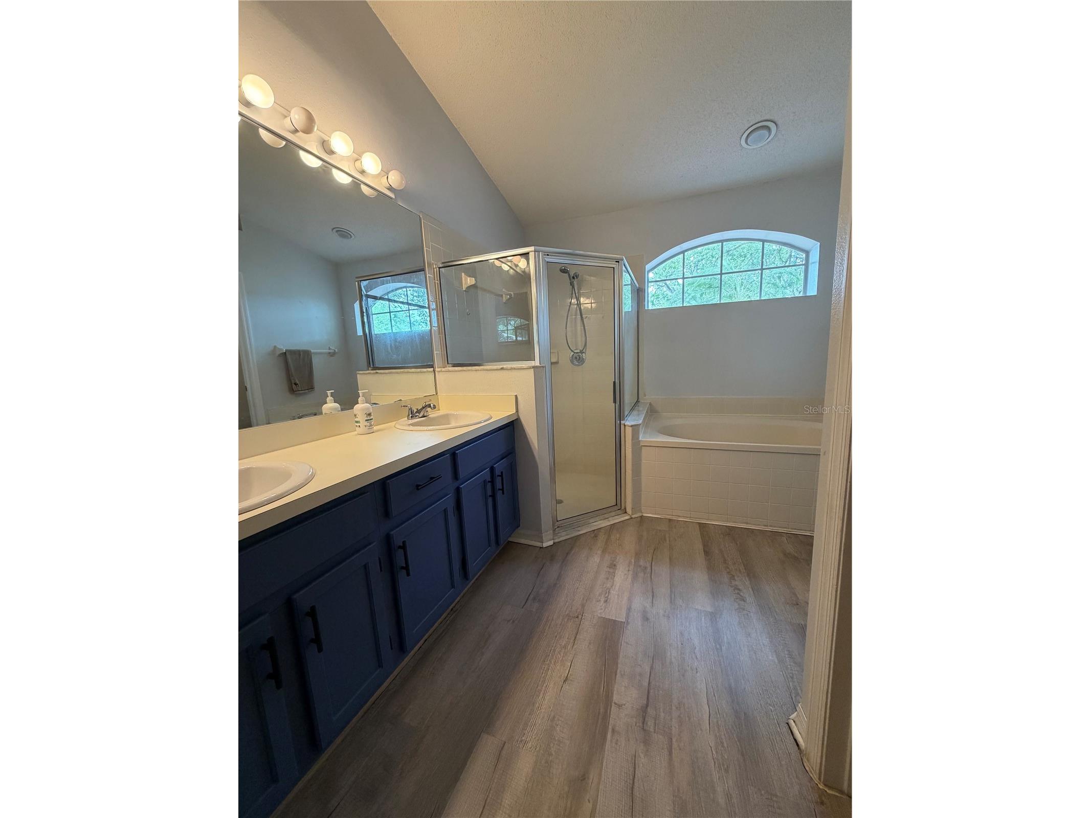 9508 Glenpointe Drive Riverview FL 33569 S5146870 image18
