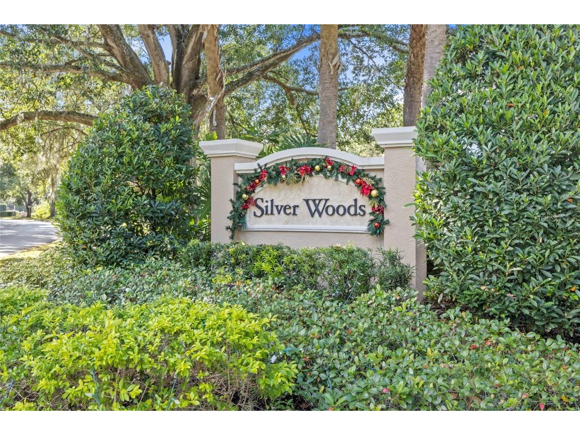 9508 Pine Terrace Court Windermere FL 34786 O6364328 image37