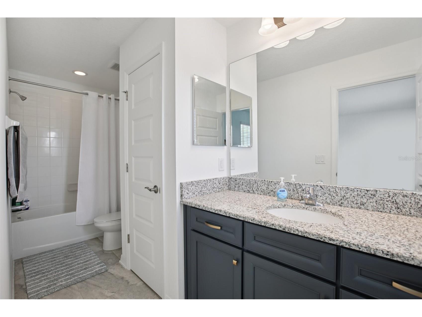 9508 Pyrenees Place Seffner FL 33584 TB8526632 image29