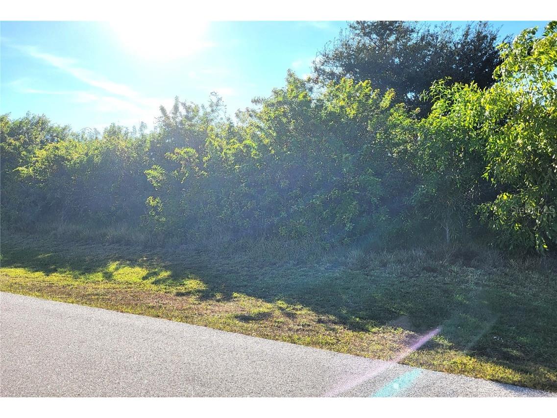 9509 Miami Circle Port Charlotte FL 33981 D6145014 image5