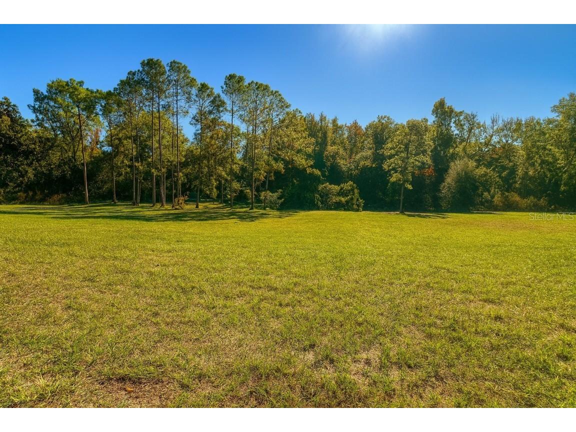 9509 San Fernando Court Howey In The Hills FL 34737 O6367455 image2