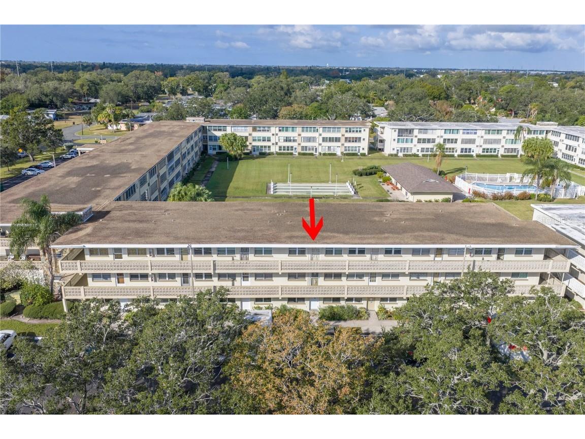 951 79th Avenue N #325 Saint Petersburg FL 33702 TB8447347 image1