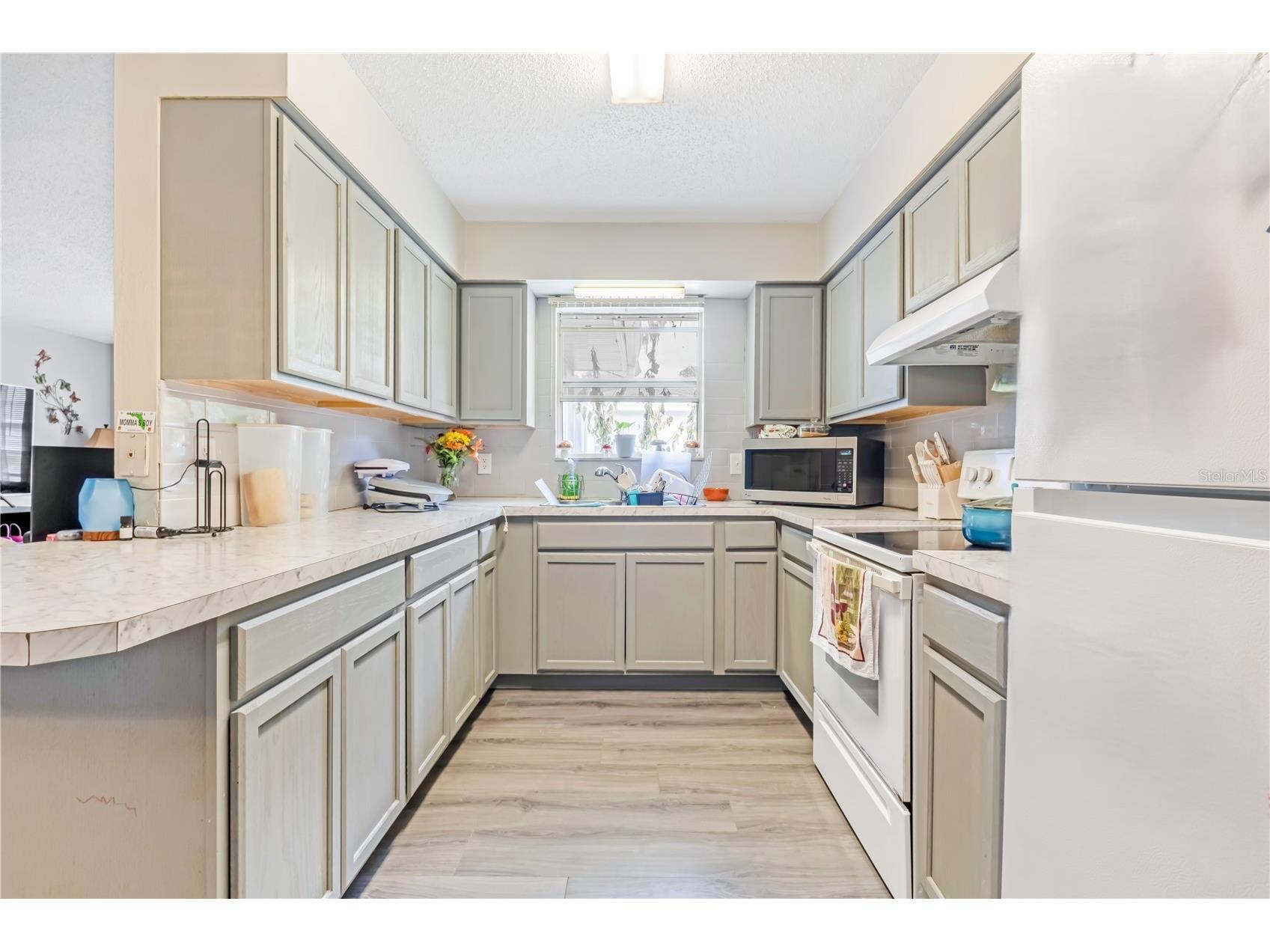 951 & 953 Beau Court Orange City FL 32763 V4947621 image7