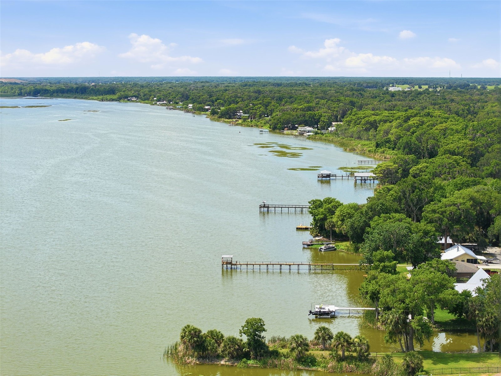 951 Cr 453 Lake Panasoffkee FL 33538 W7886067 image39