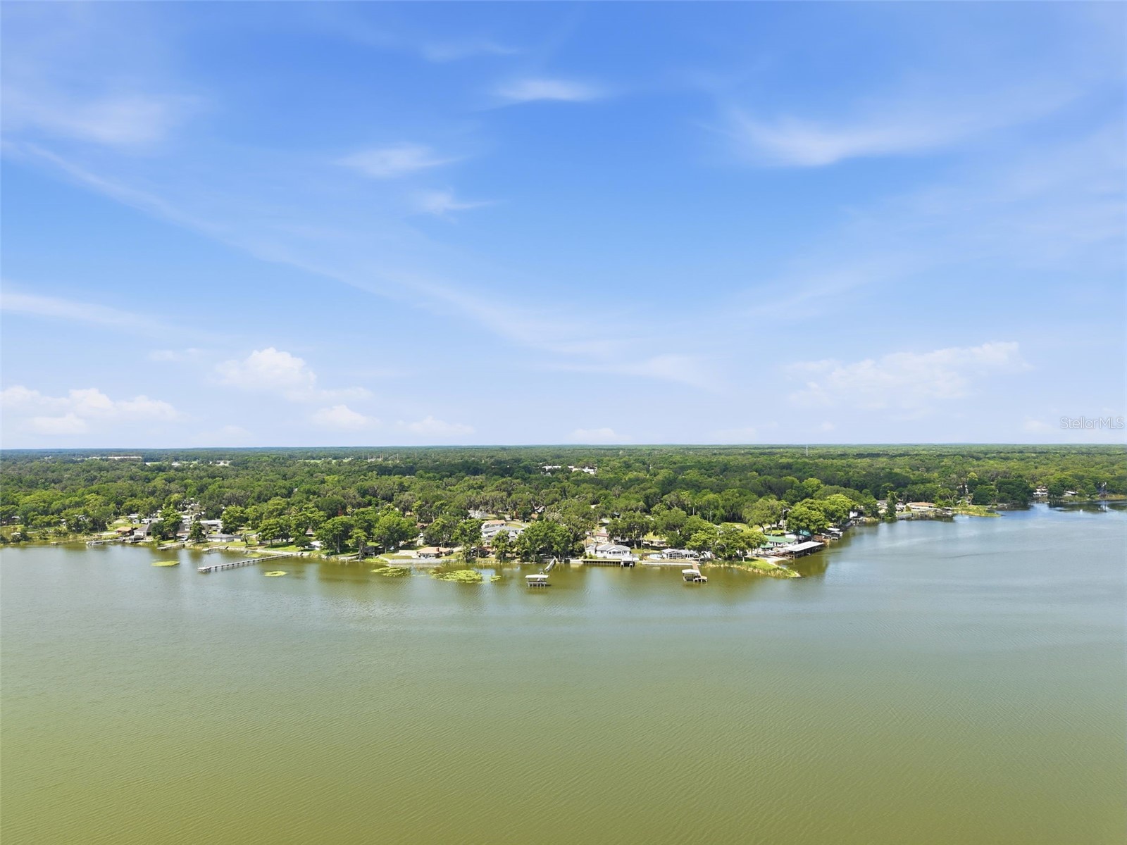 951 Cr 453 Lake Panasoffkee FL 33538 W7886067 image41