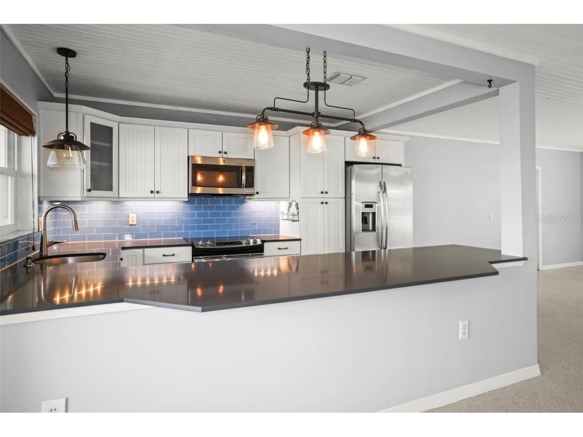 951 Greenway Avenue Dunedin FL 34698 TB8454209 image4