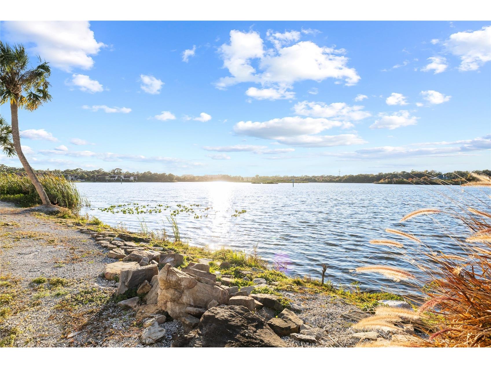 951 S Bayshore Boulevard Safety Harbor FL 34695 - TAMPA BAY; ALLIGATOR LAKE A4677883 image48