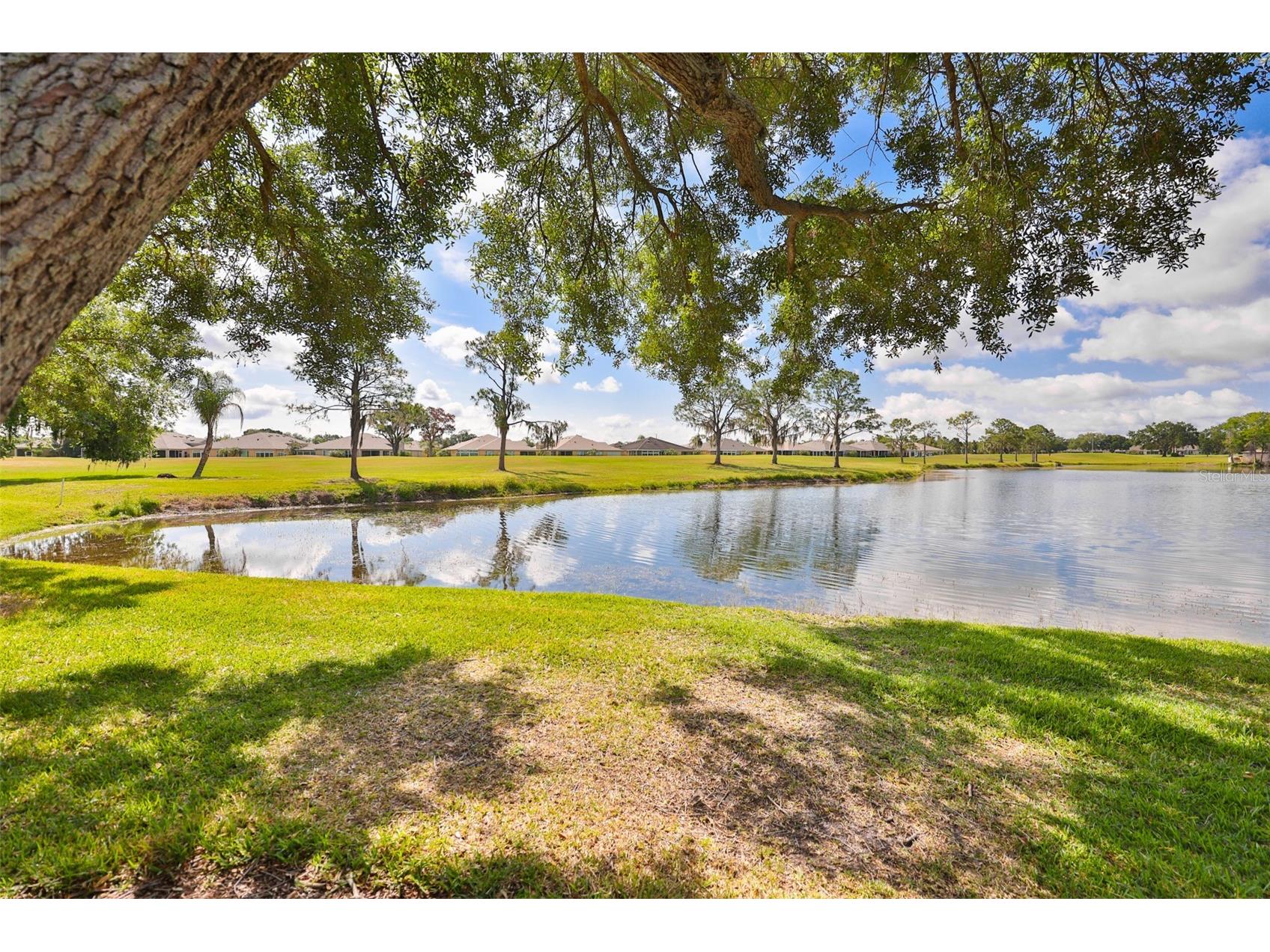 951 Villeroy Greens Drive Sun City Center FL 33573 TB8510267 image49