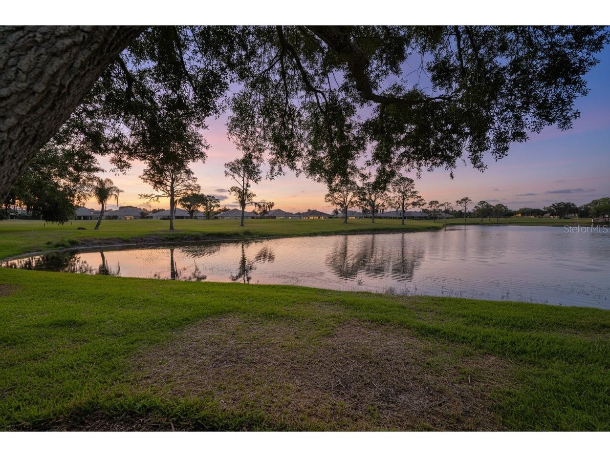 951 Villeroy Greens Drive Sun City Center FL 33573 TB8510267 image55