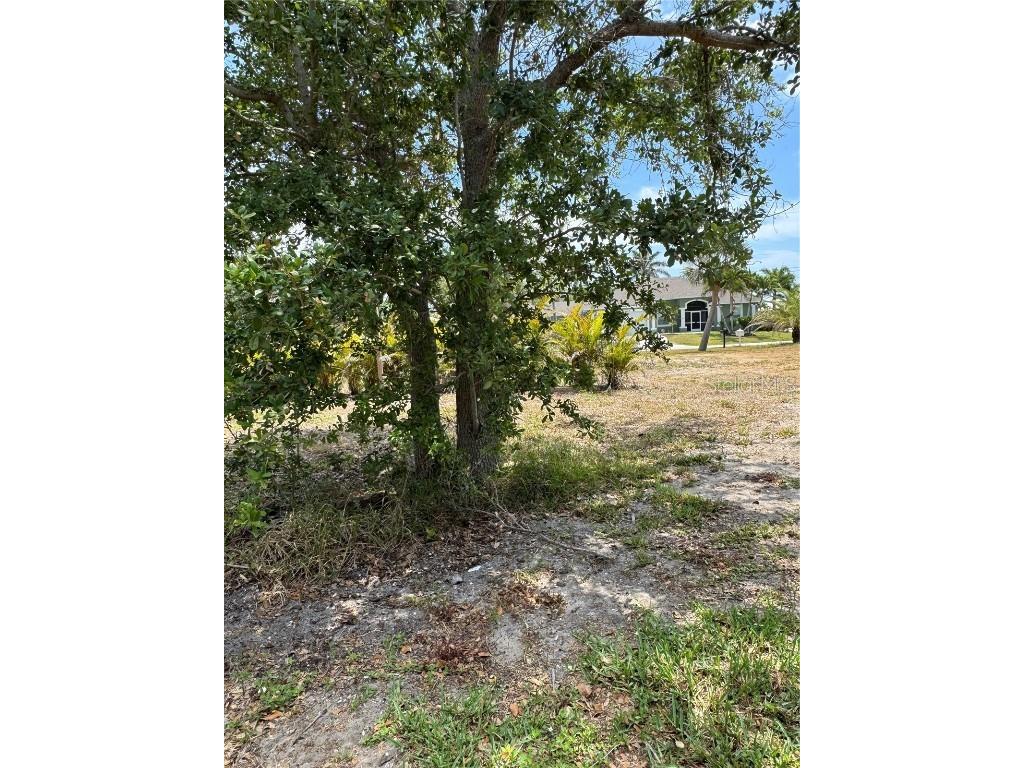 9511 Honeymoon Drive Port Charlotte FL 33981 - ARMY WATERWAY D6141879 image20