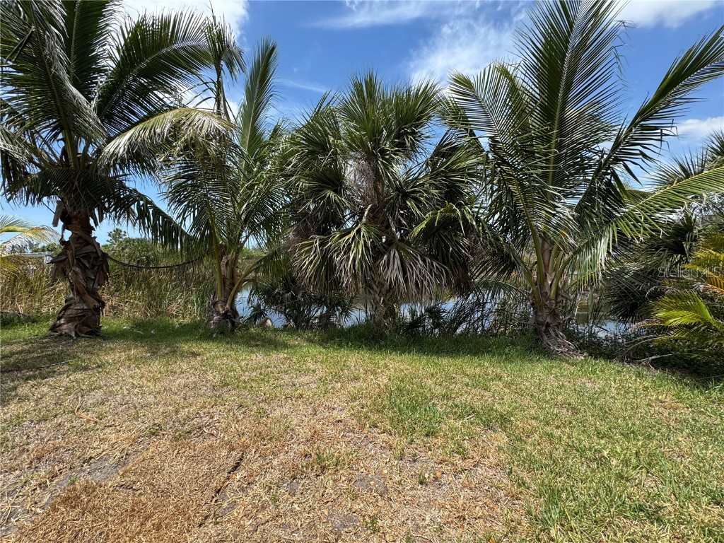 9511 Honeymoon Drive Port Charlotte FL 33981 - ARMY WATERWAY D6141879 image22