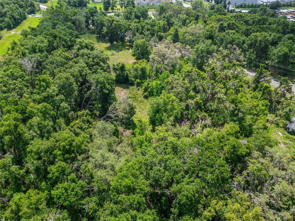 9512 Harney Road Thonotosassa FL 33592 TB8412286 image29