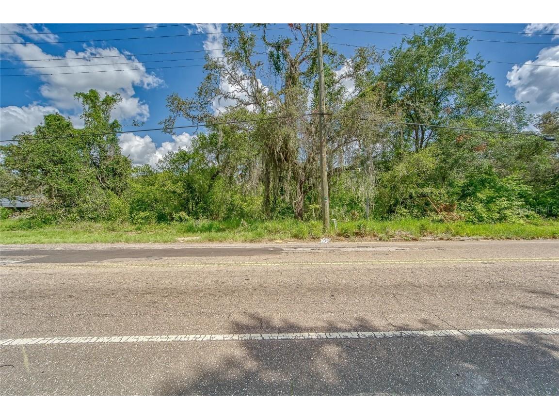 9512 Harney Road Thonotosassa FL 33592 TB8412286 image3