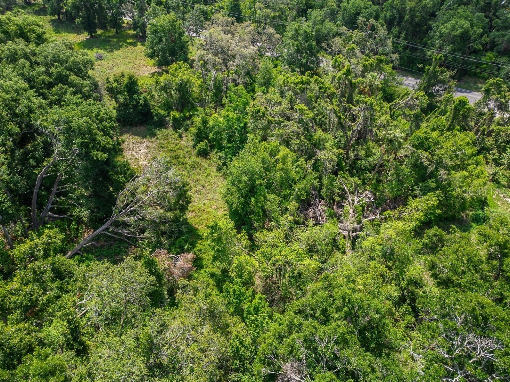 9512 Harney Road Thonotosassa FL 33592 TB8412286 image30