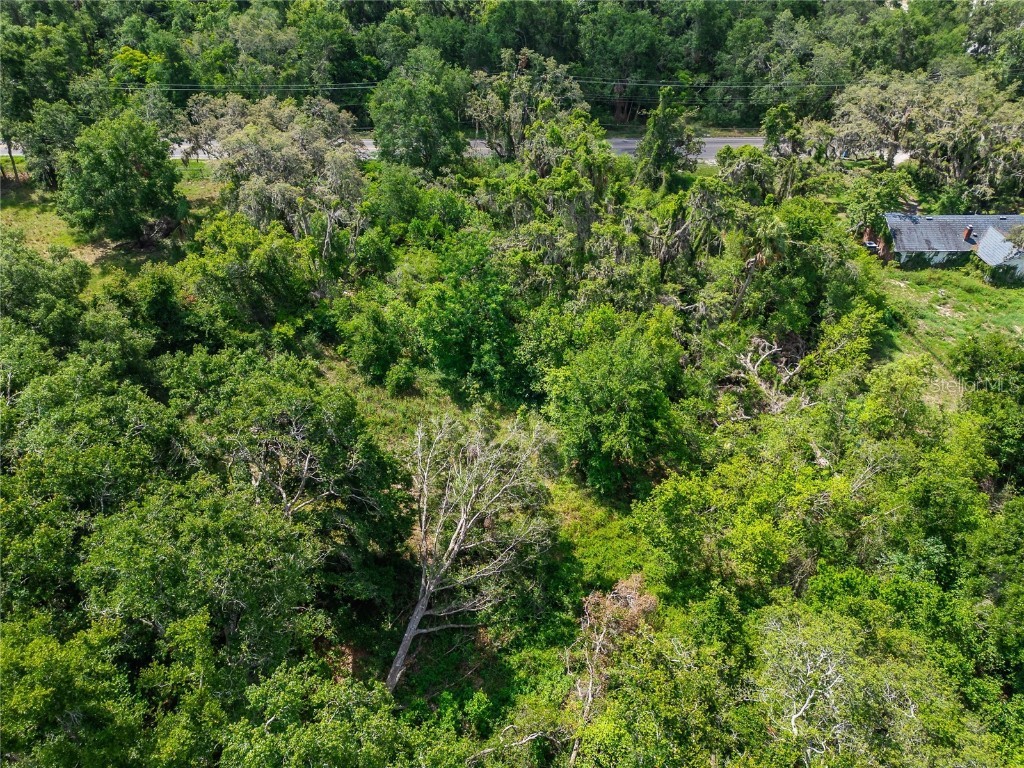 9512 Harney Road Thonotosassa FL 33592 TB8412286 image31