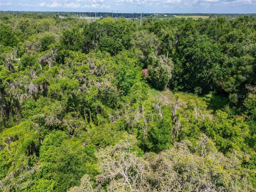 9512 Harney Road Thonotosassa FL 33592 TB8412286 image33