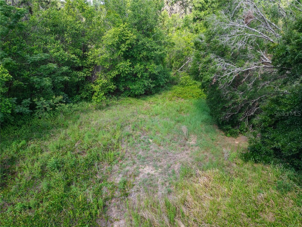 9512 Harney Road Thonotosassa FL 33592 TB8412286 image34