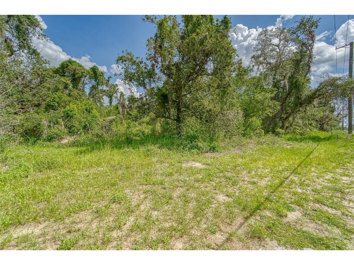 9512 Harney Road Thonotosassa FL 33592 TB8412286 image6