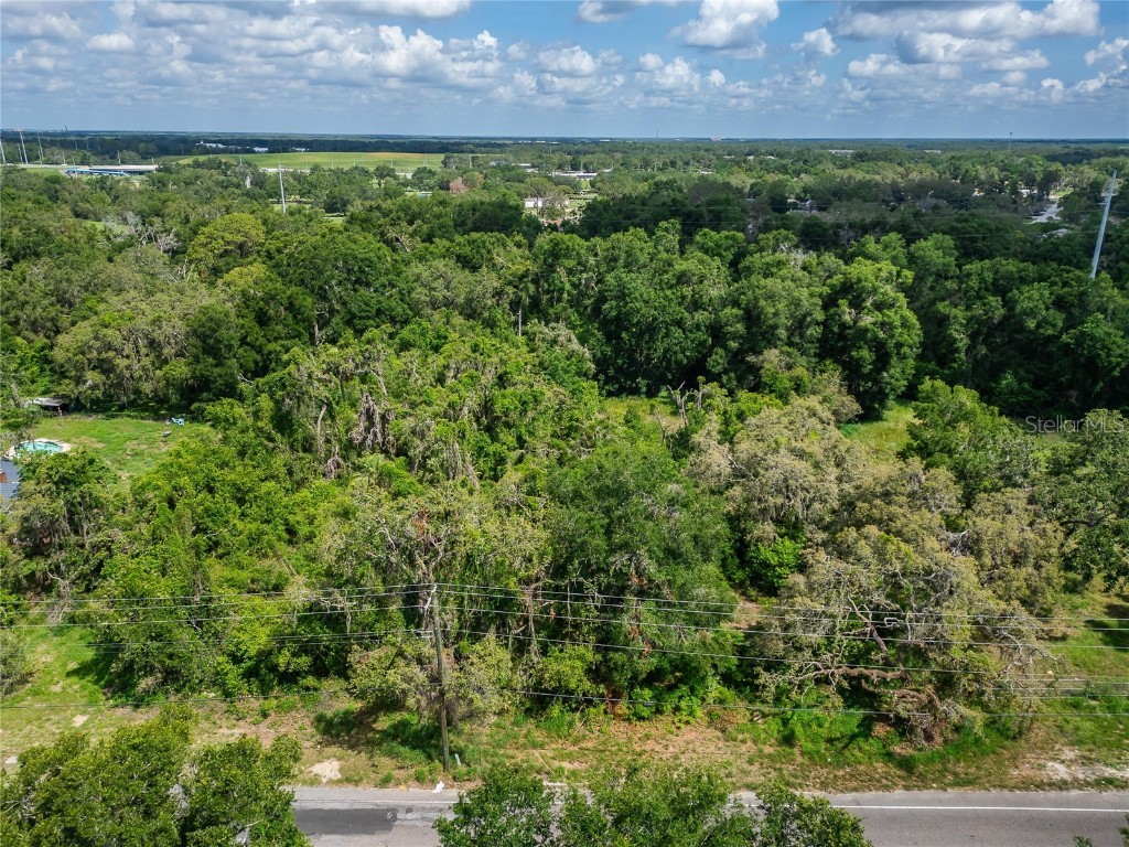 9512 Harney Road Thonotosassa FL 33592 TB8412286 image7